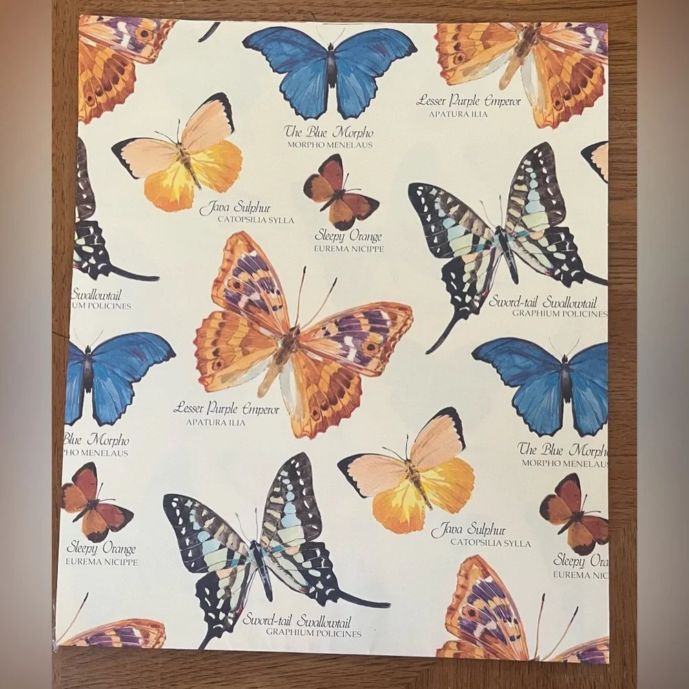 2 brand new sheets vintage gift wrap butterfly and birds